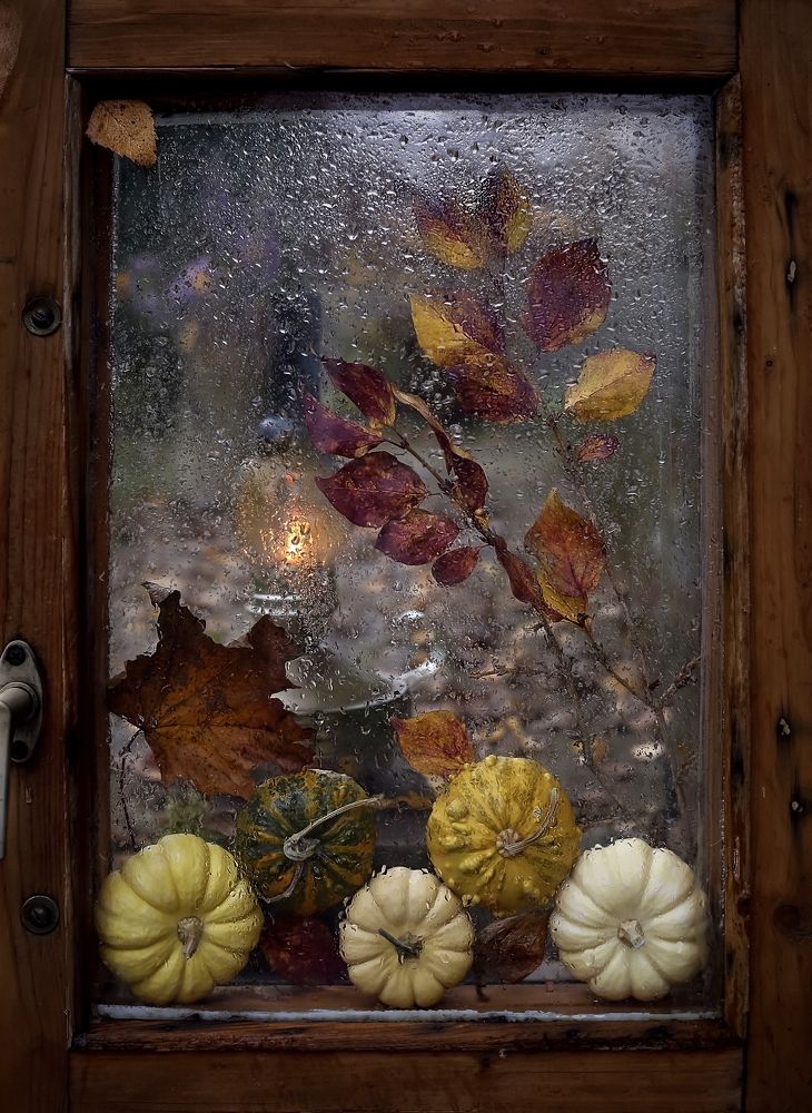 Photograph by Татьяна Кытина