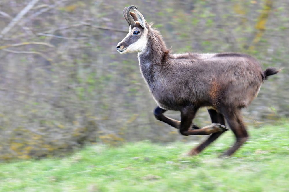 Фотография автора Anne Moginier