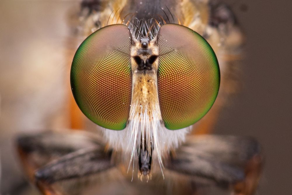 Photograph by Subhankar Bardhan