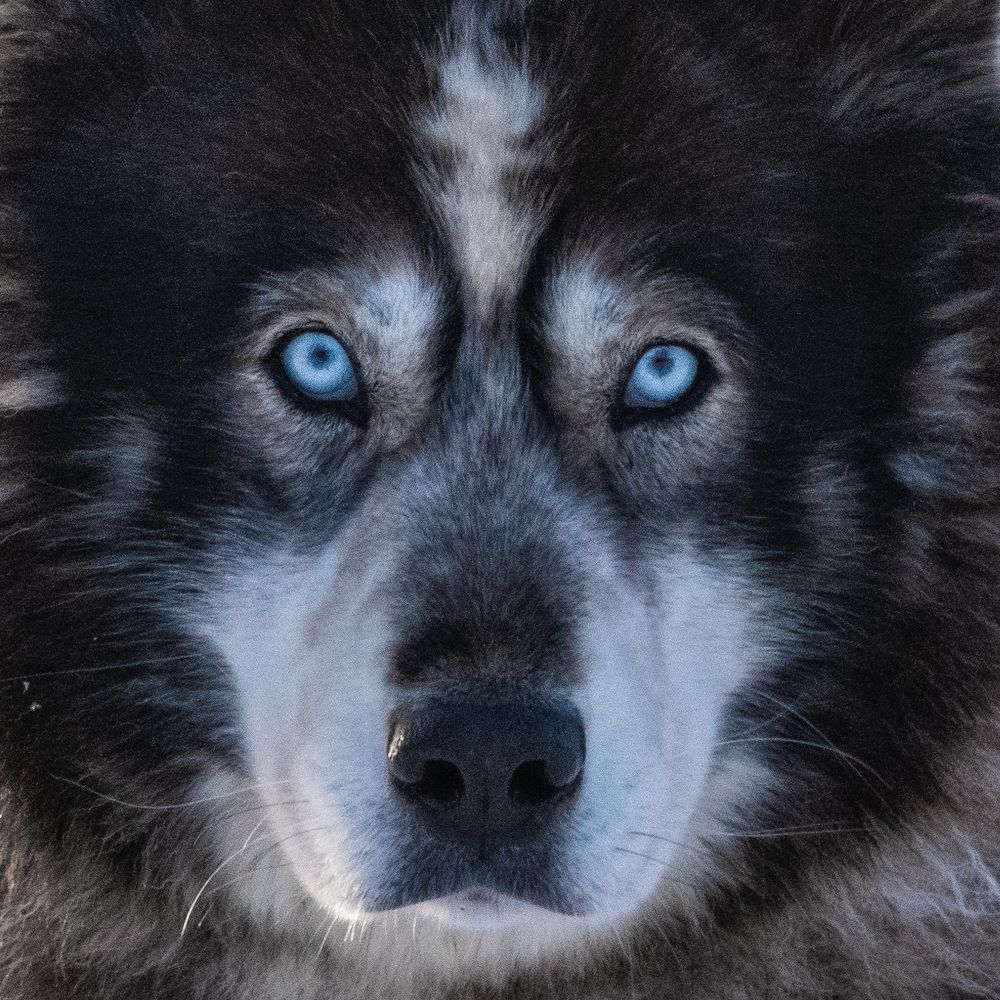 Photograph by Андрей Иванов