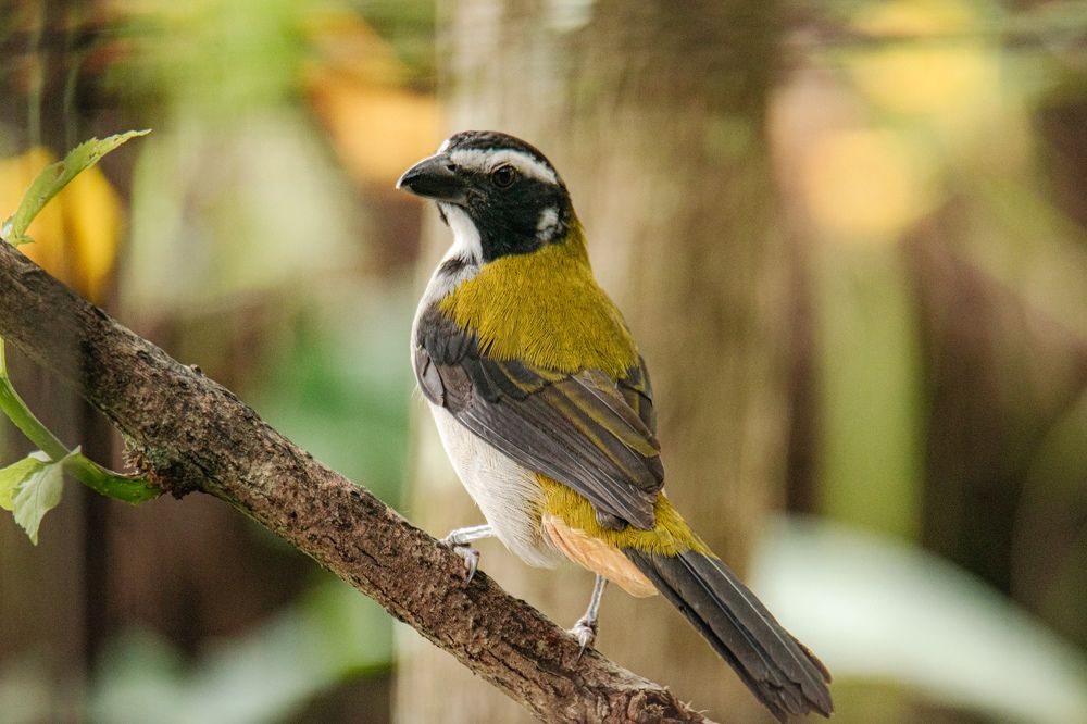 Photograph by Miguel Antonio Sevilla Flor