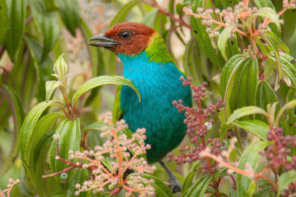 Photograph by Miguel Antonio Sevilla Flor