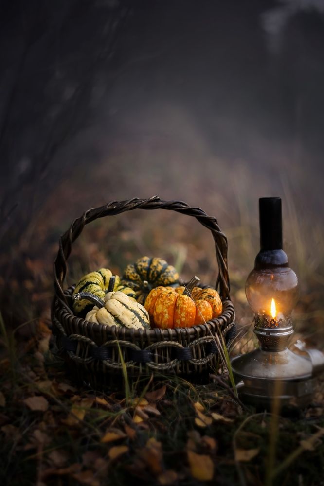 Photograph by Татьяна Кытина