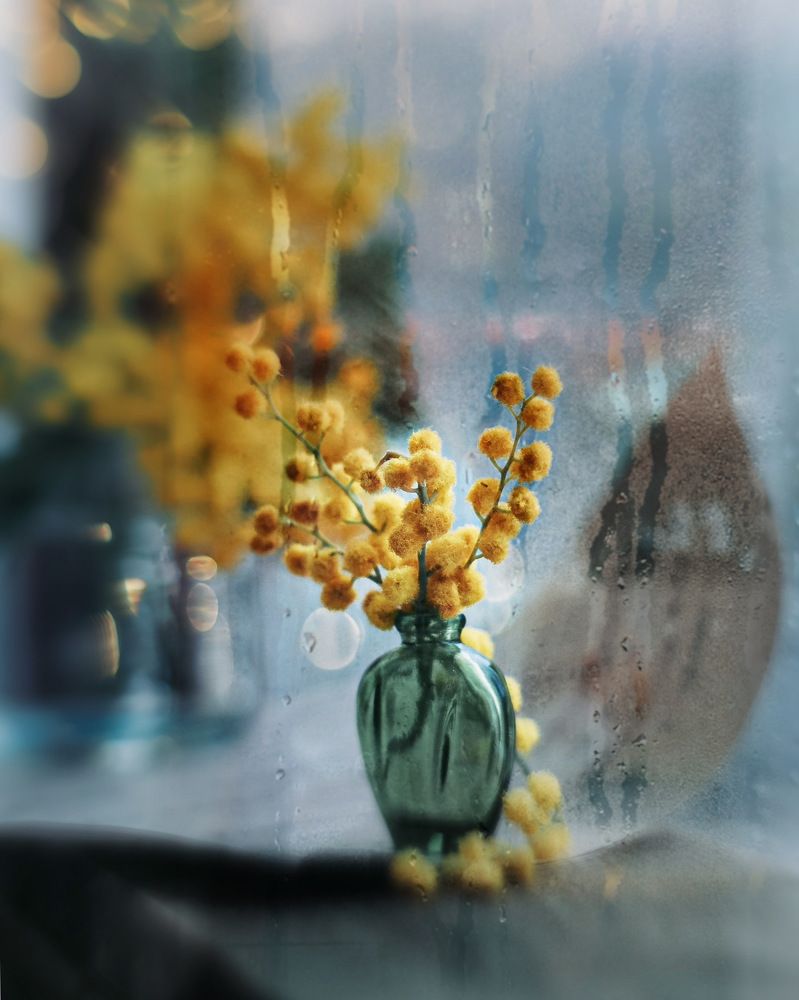 Photograph by Мария Исаева