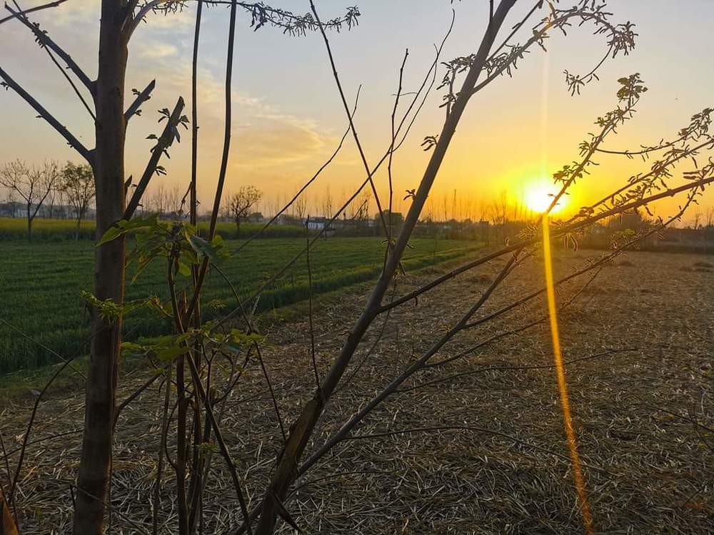 Photograph by Waleed Khan