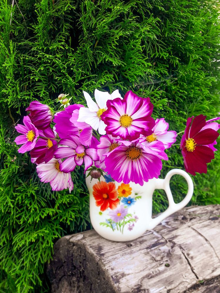 Фотография автора Марина Гусева