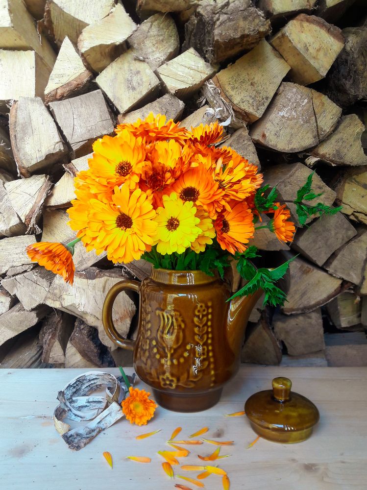 Фотография автора Марина Гусева