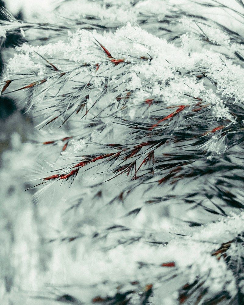 Мир наизнанку