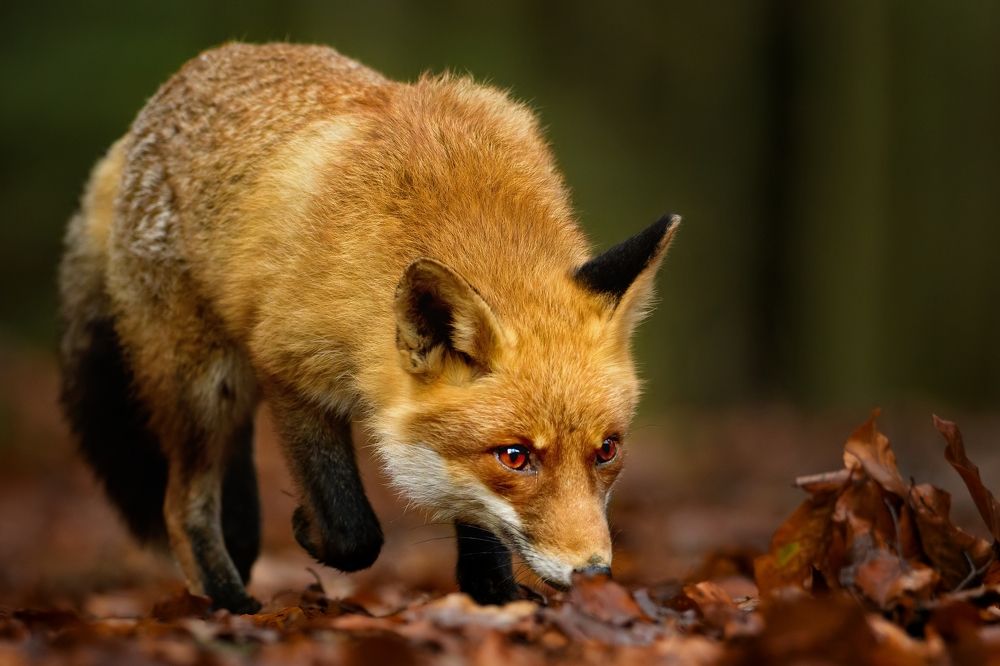 Photograph by Petr Kovar