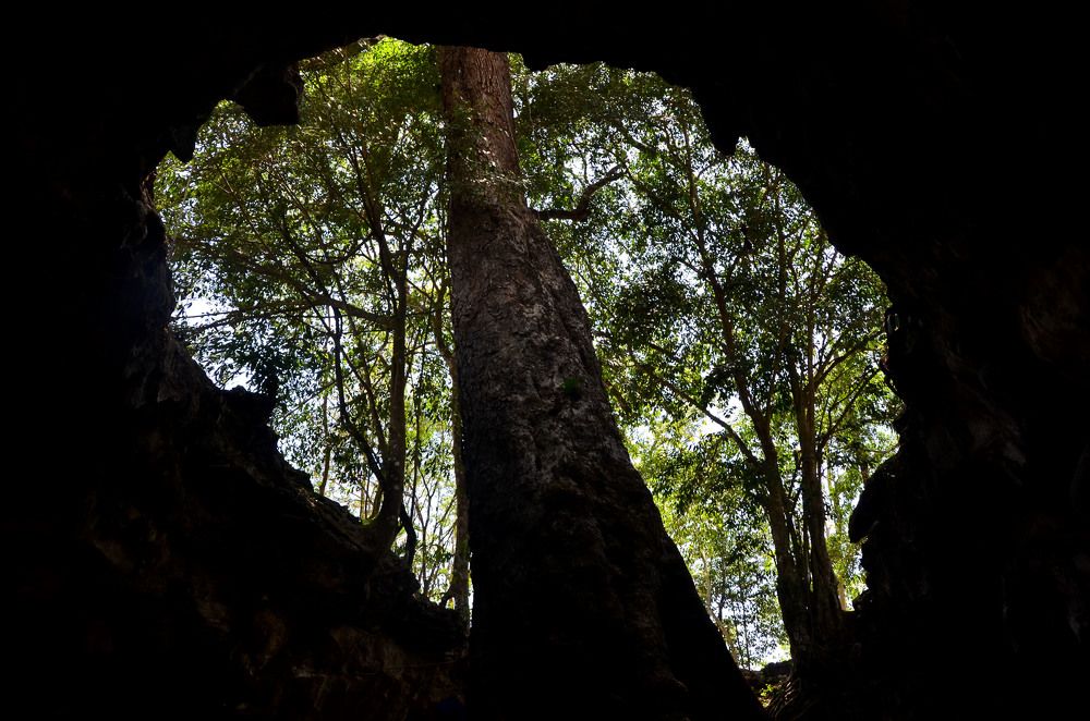 Photograph by Cahya Nugraha