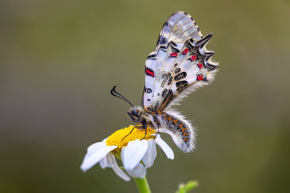 Photograph by Andrey Ostapenko