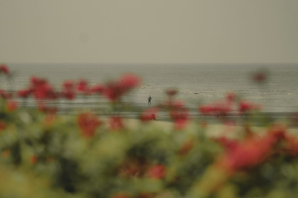 Photograph by Shreevardhan Sharma