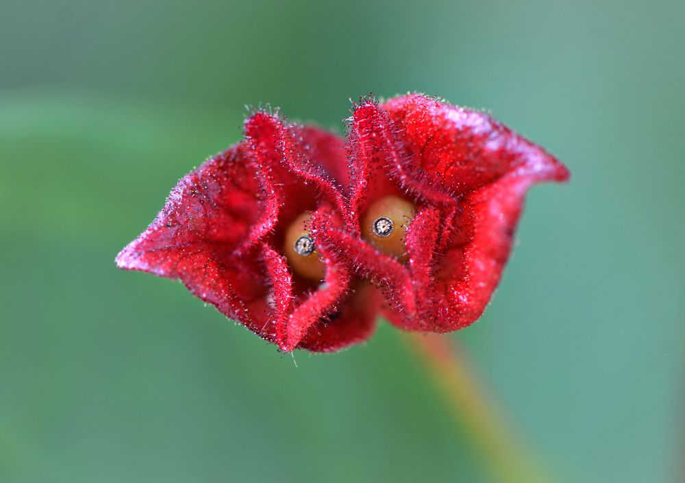 Photograph by Валерий