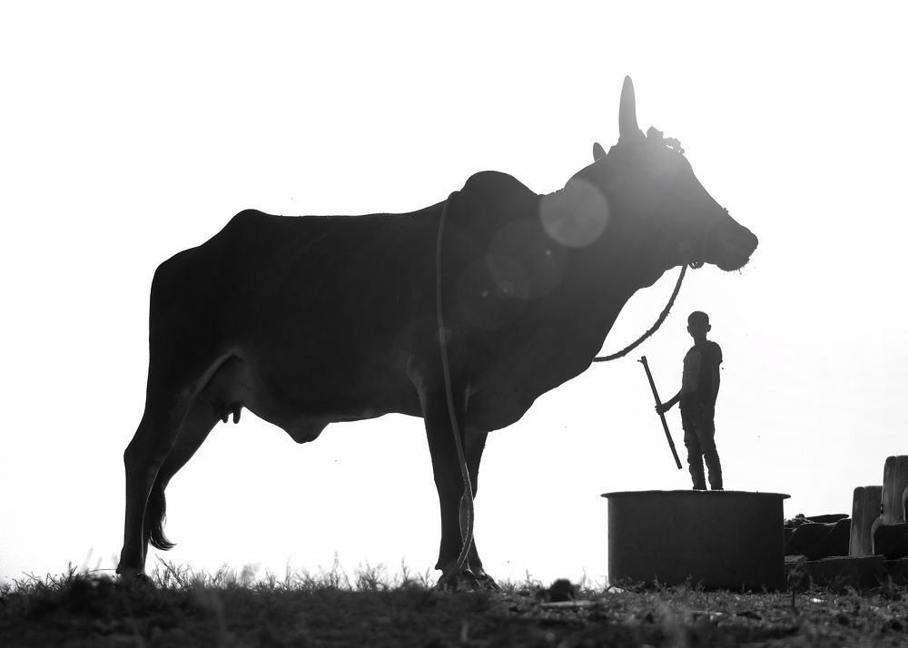 Photograph by Shreevardhan Sharma