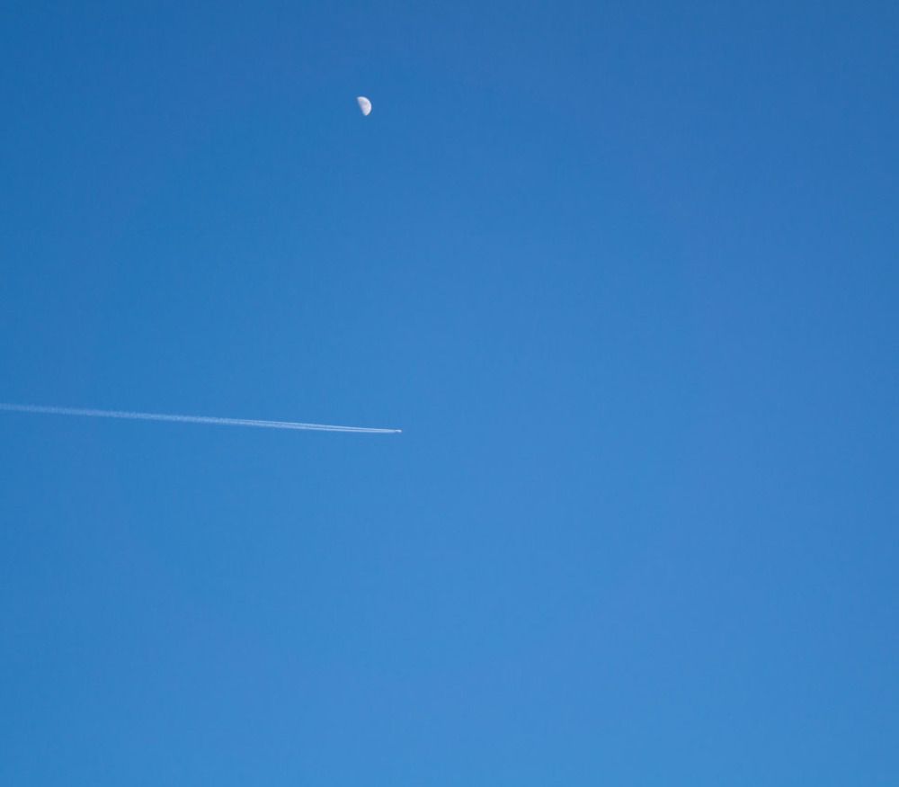 Минимализм