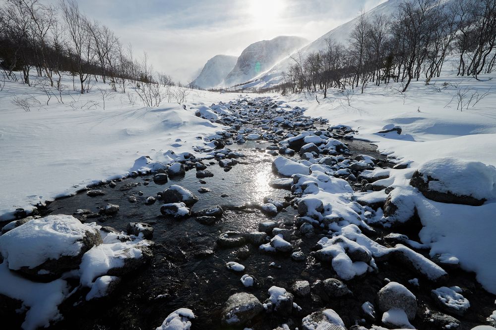 Photograph by Лана Полякова