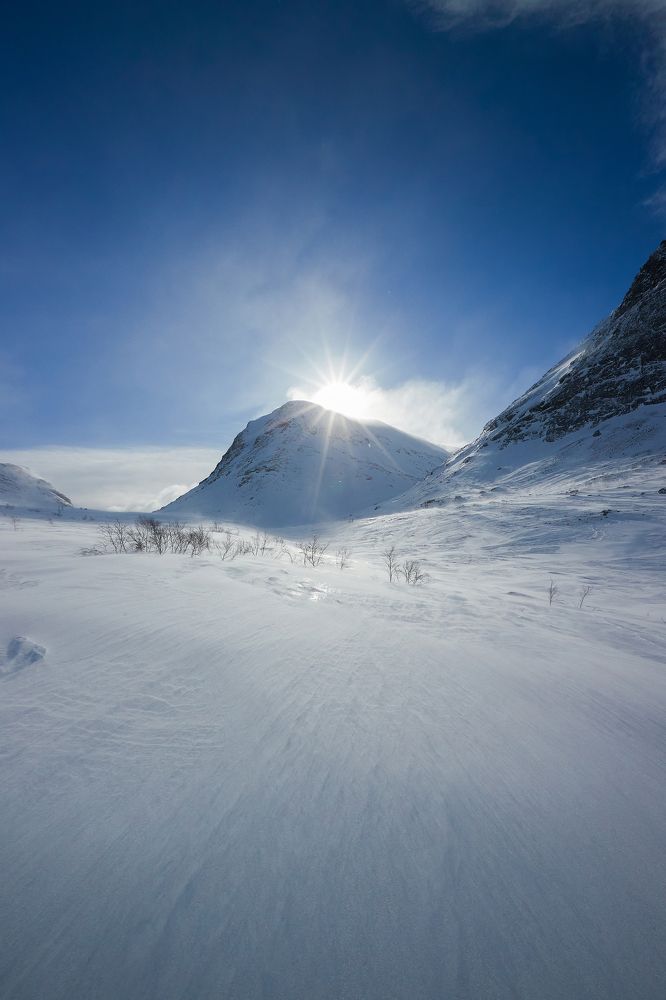 Photograph by Лана Полякова