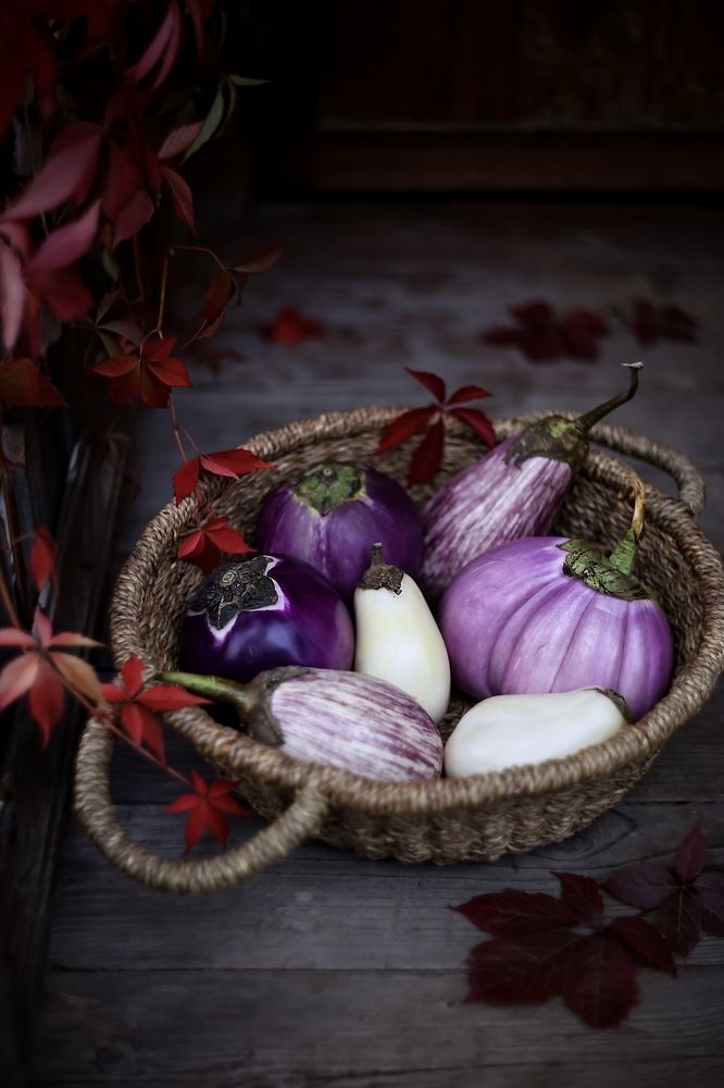 Photograph by Татьяна Кытина