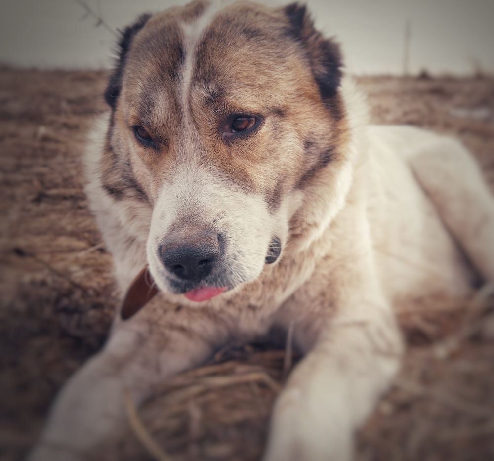 Photograph by Катерина Валах