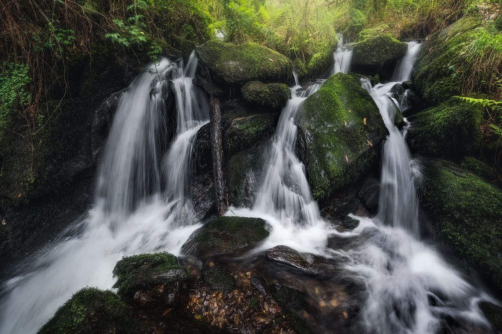 Photograph by Alfonso Maseda Varela