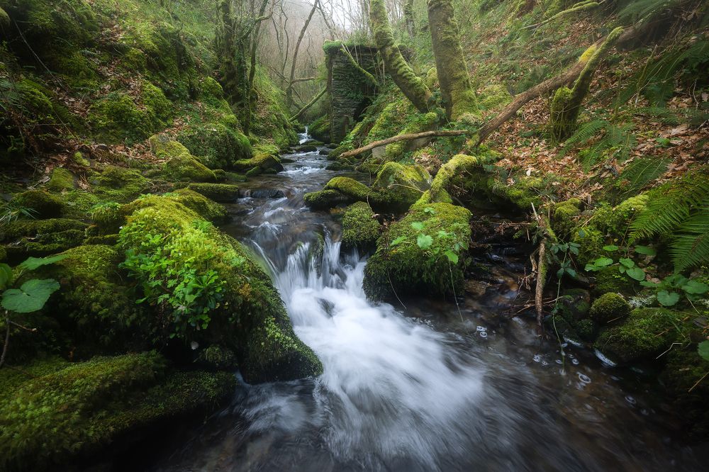 Photograph by Alfonso Maseda Varela