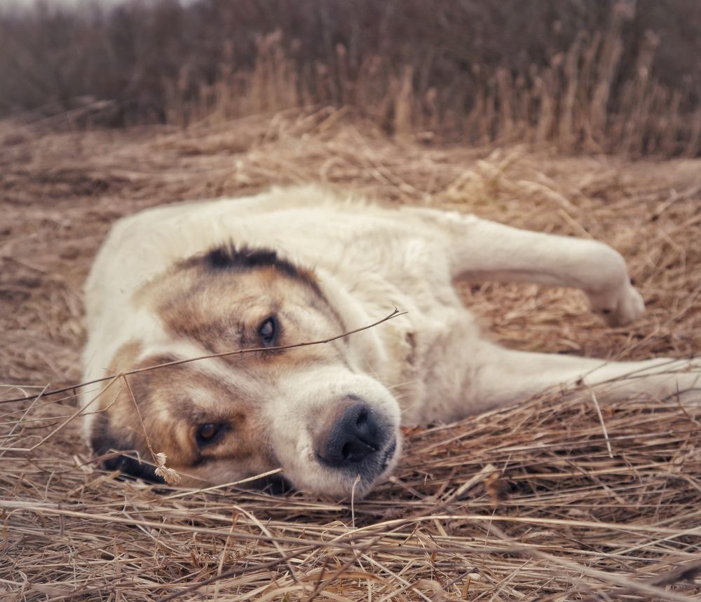 Photograph by Катерина Валах