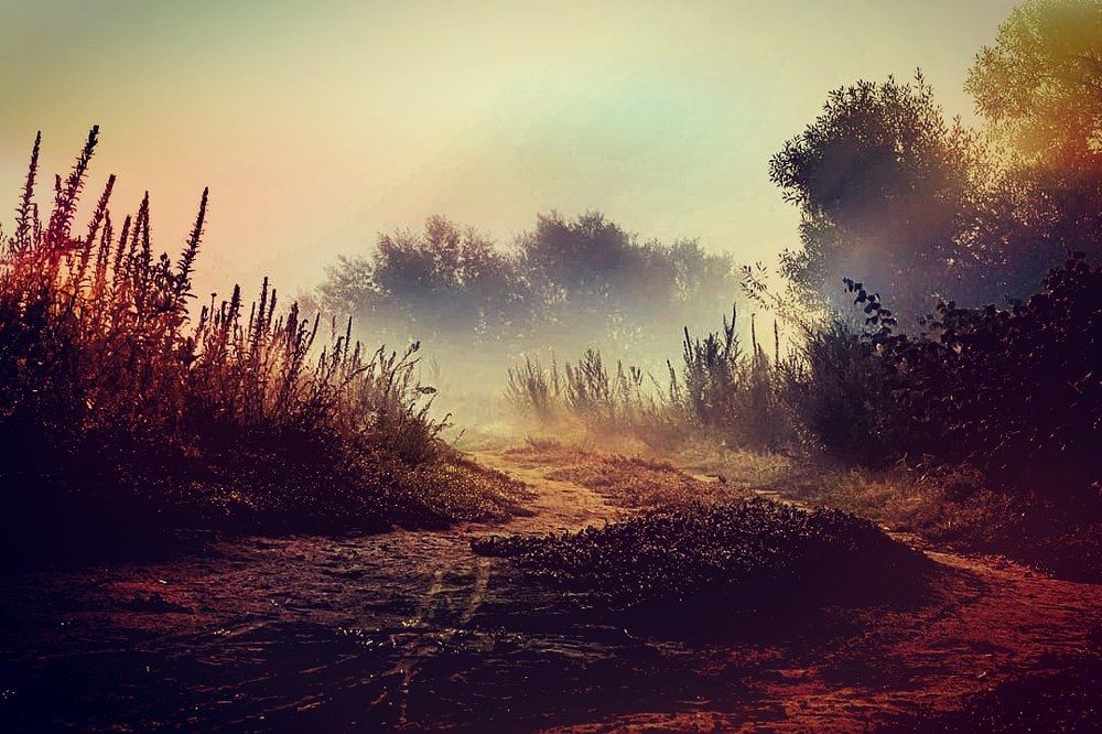 Photograph by Алексей Стрижаков