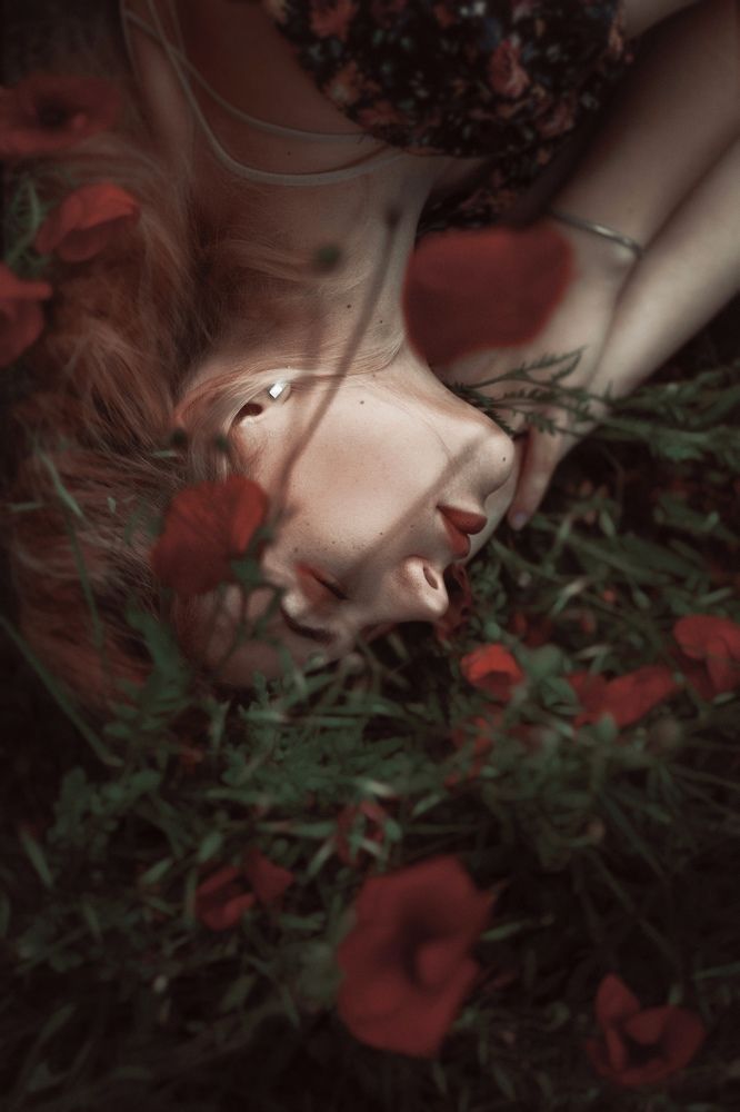 Photograph by Ольга Калинченко