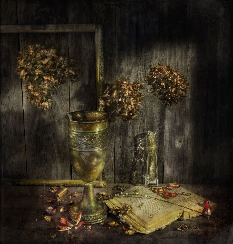 Photograph by Олег Расторгуев