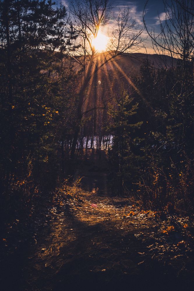 Photograph by Валери Быстрицкая