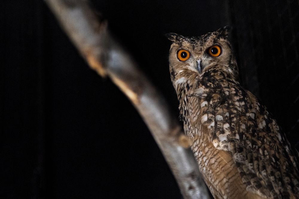 Photograph by Helmy Moataz