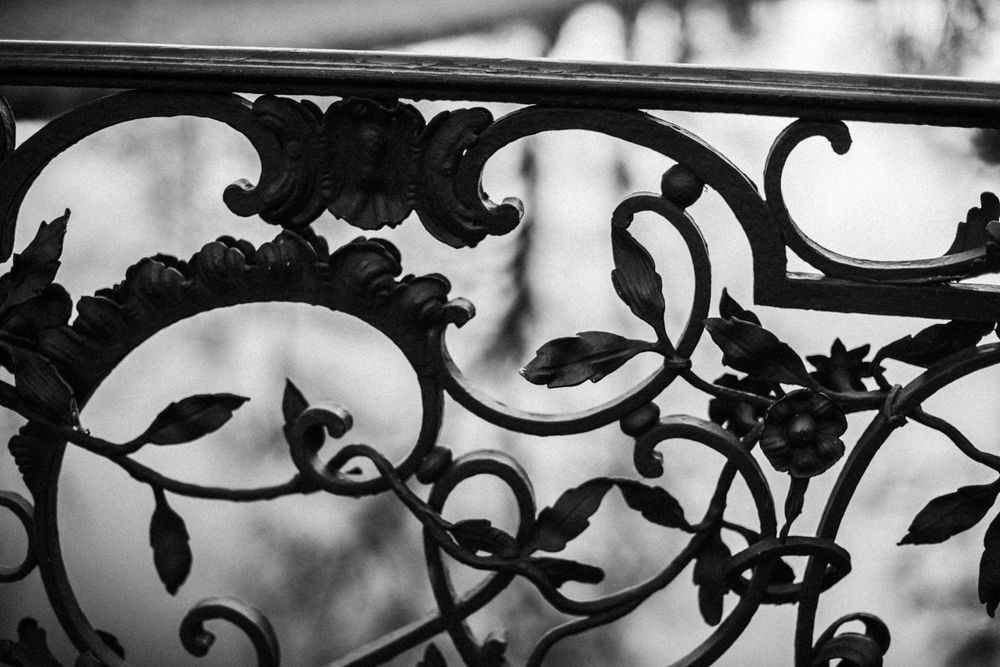 Photograph by Julia Guest