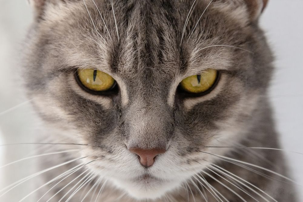 Photograph by Яна Попова