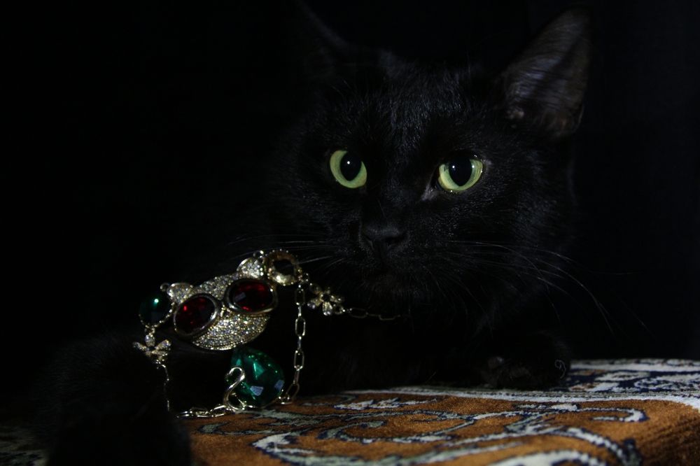 Photograph by Яна Попова