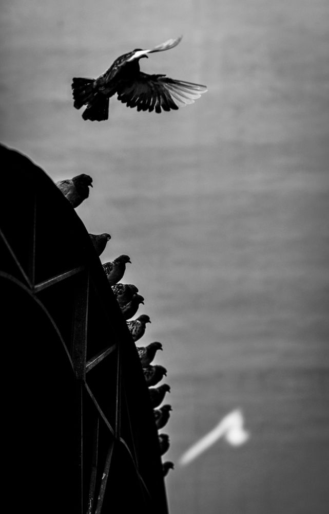 Фотография автора Евгений Демидов