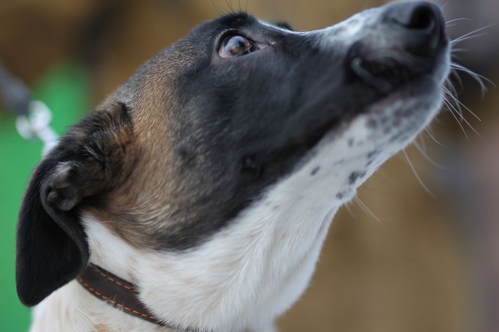 Photograph by Яна Попова