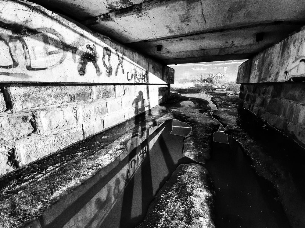 Photograph by Дмитрий Валивахин