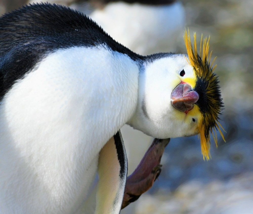 Photograph by Sue Luxton