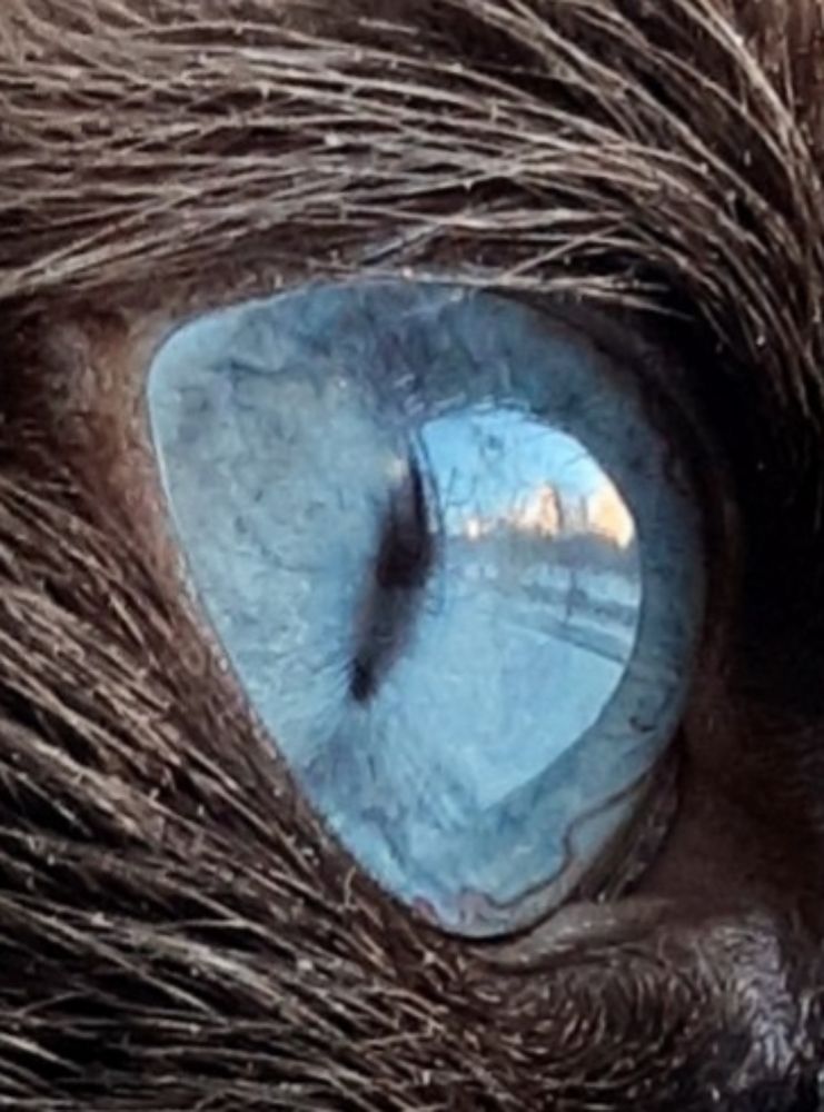 Город в глазах