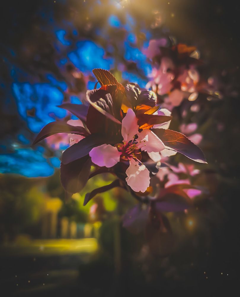 Photograph by Eunice Oladeji