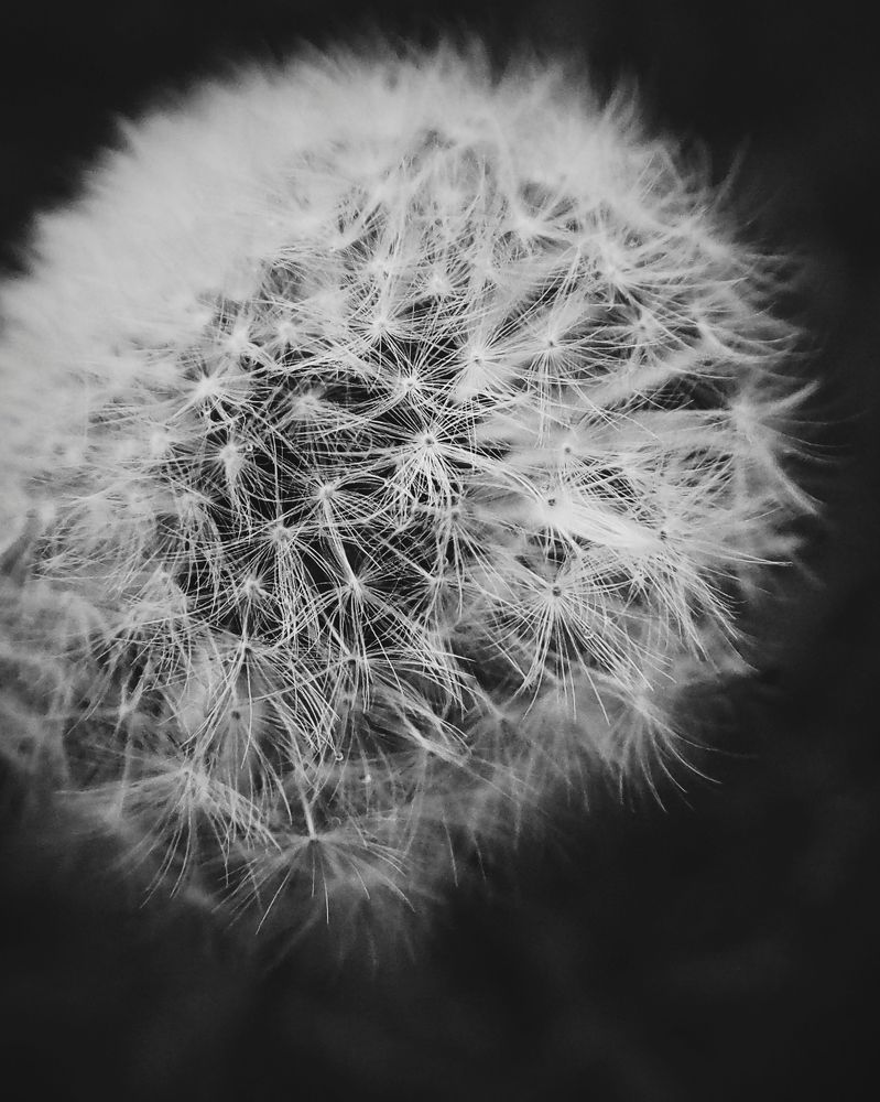 Фотография автора Иван Вдовин