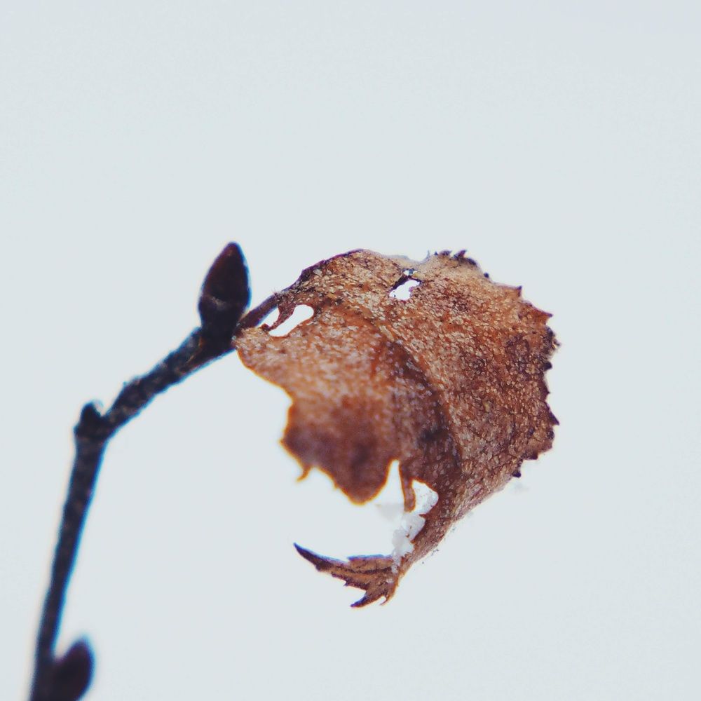 Фотография автора Иван Вдовин