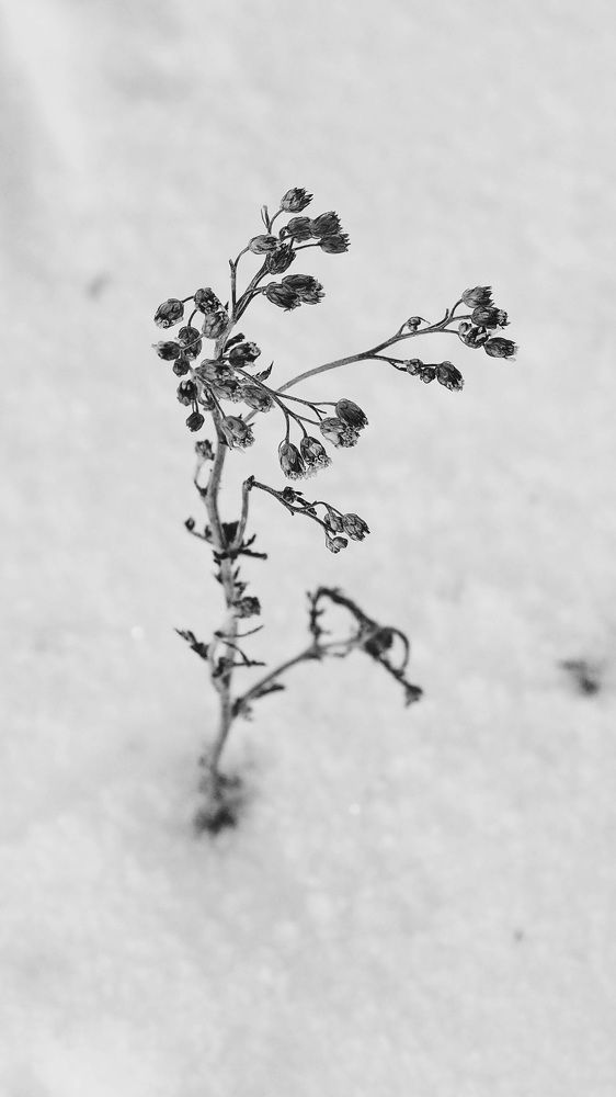 Фотография автора Иван Вдовин