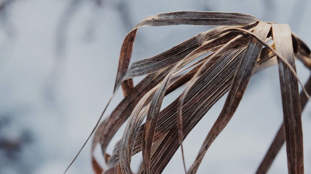 Фотография автора Иван Вдовин