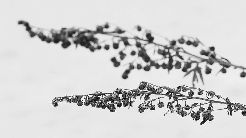 Фотография автора Иван Вдовин