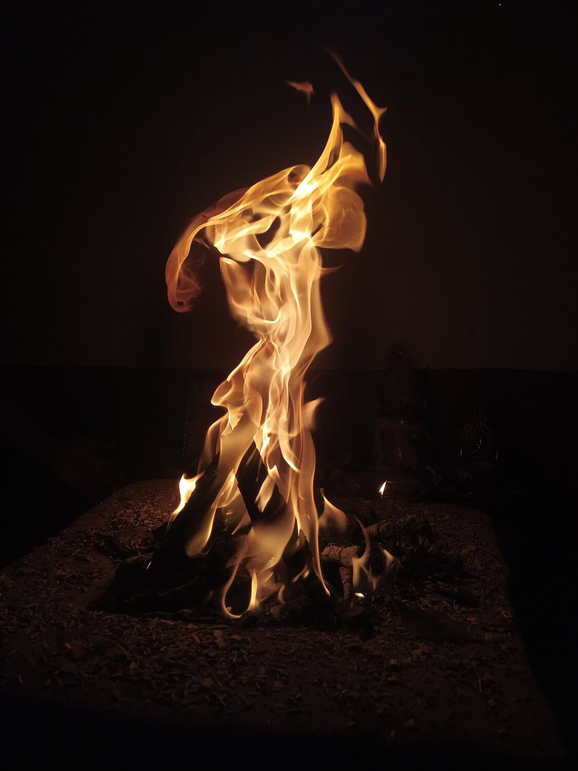 Photo #5978407