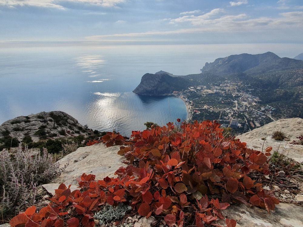 Photograph by Ирина Турчина