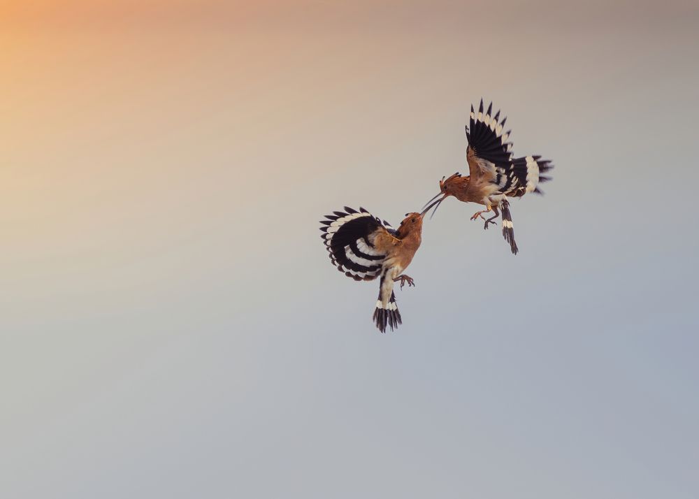 Photograph by RAJA G N