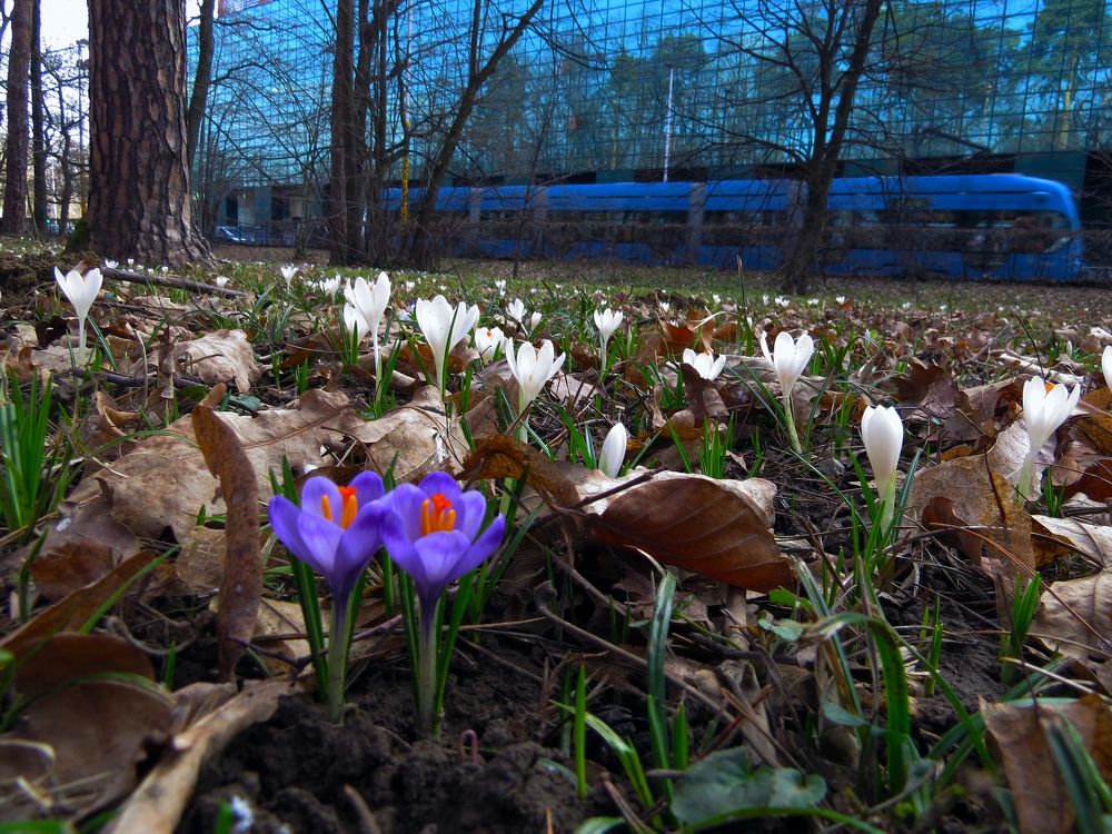 Фотография автора Katica Pecigoš-Kljuković