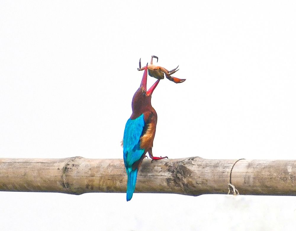 Photograph by Masum Mr